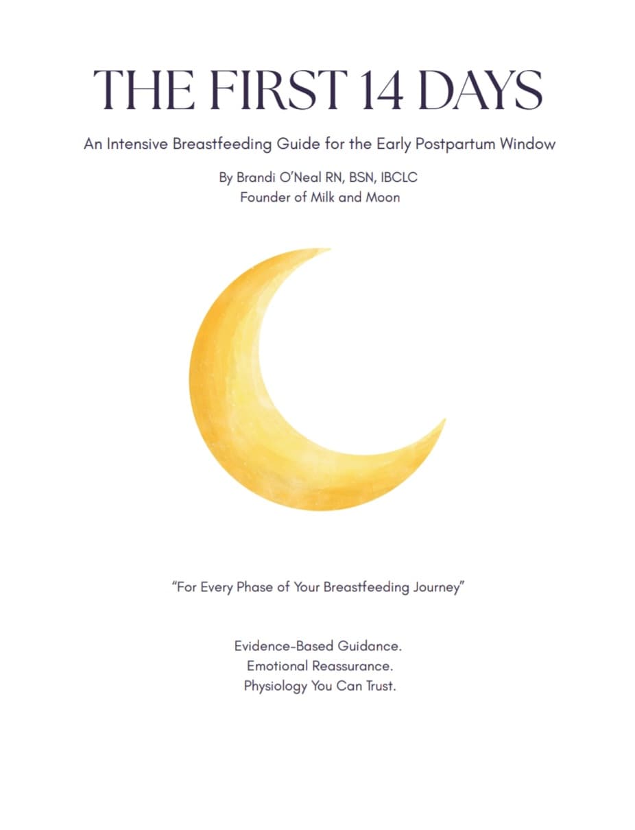 The First 14 Days: Your Breastfeeding Survival Guide — digital guide cover